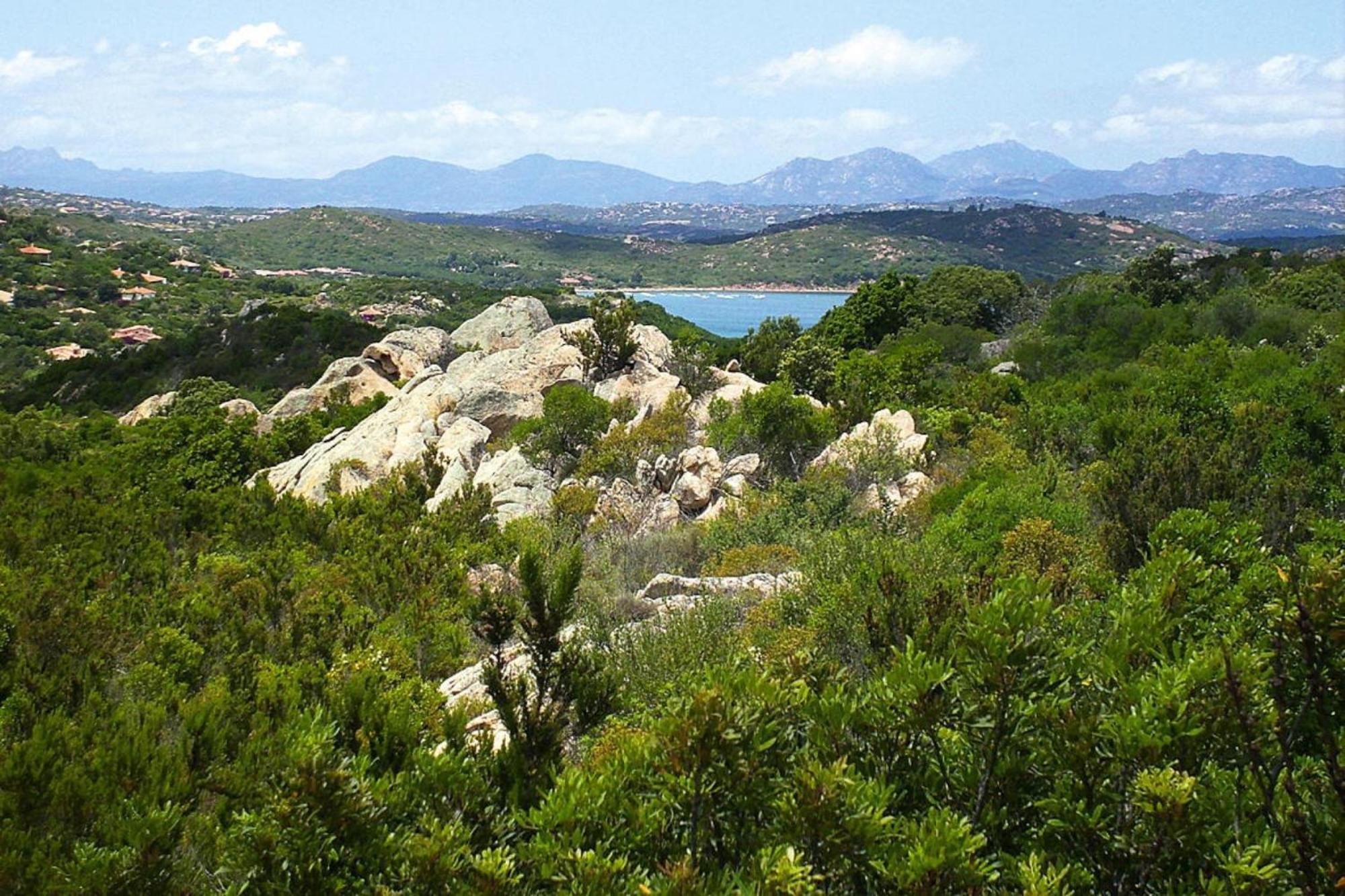 Residence La Tartaruga Monte Petruso San Teodoro サン・テオドーロ エクステリア 写真