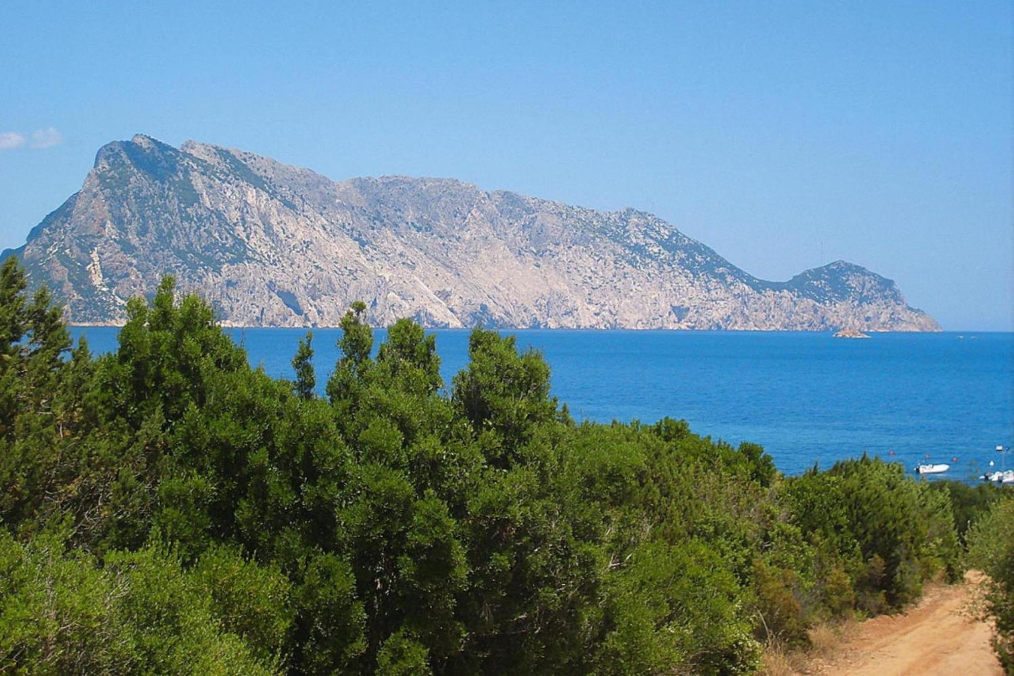 Residence La Tartaruga Monte Petruso San Teodoro サン・テオドーロ エクステリア 写真